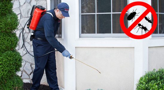 Çiçekdağı Kene İlaçlama böcek ilaçlama ve haşere kontrolü — ilaclama-tr.com